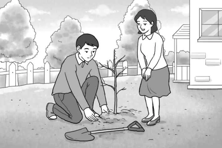 남자가 나무를 심음